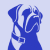 Mastiff